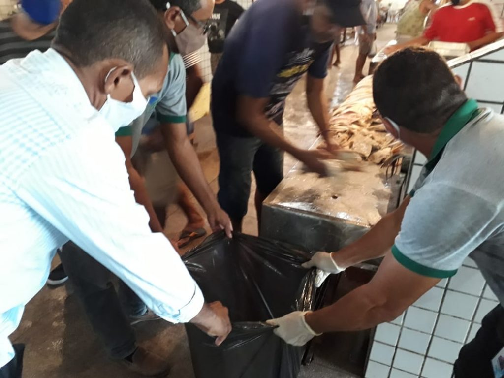 Equipe de fiscalização da Sedap apreende e descarta mais de 40 kg de pescado estragado em Marituba
