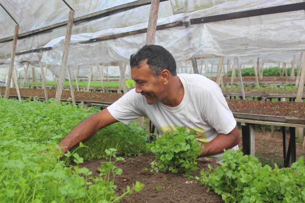 Sedap realiza levantamento da agricultura familiar visando fornecimento para a merenda escolar em Marituba