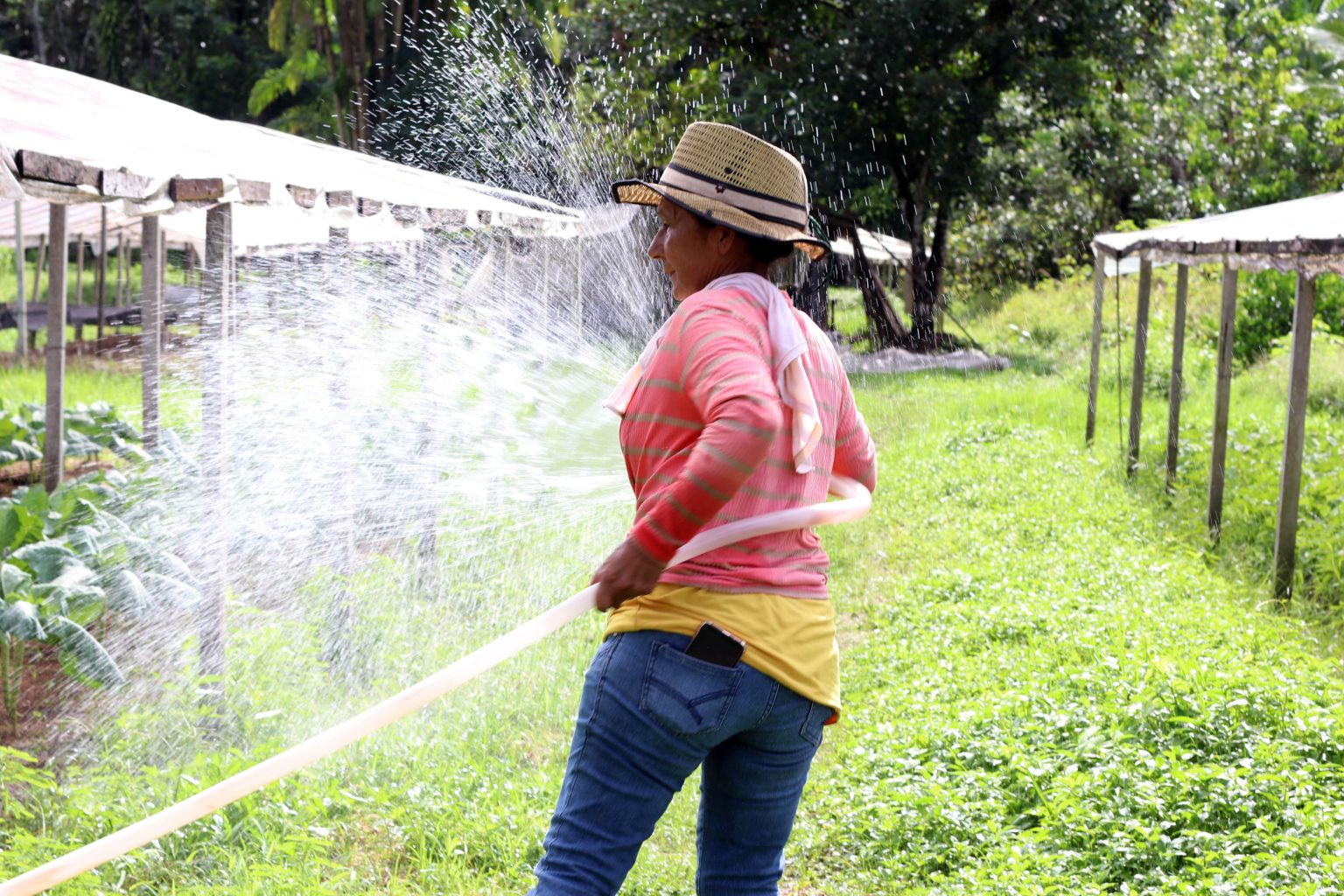 Mulheres de Marituba trabalham, se empoderam, cuidam da família e fazem girar a economia local