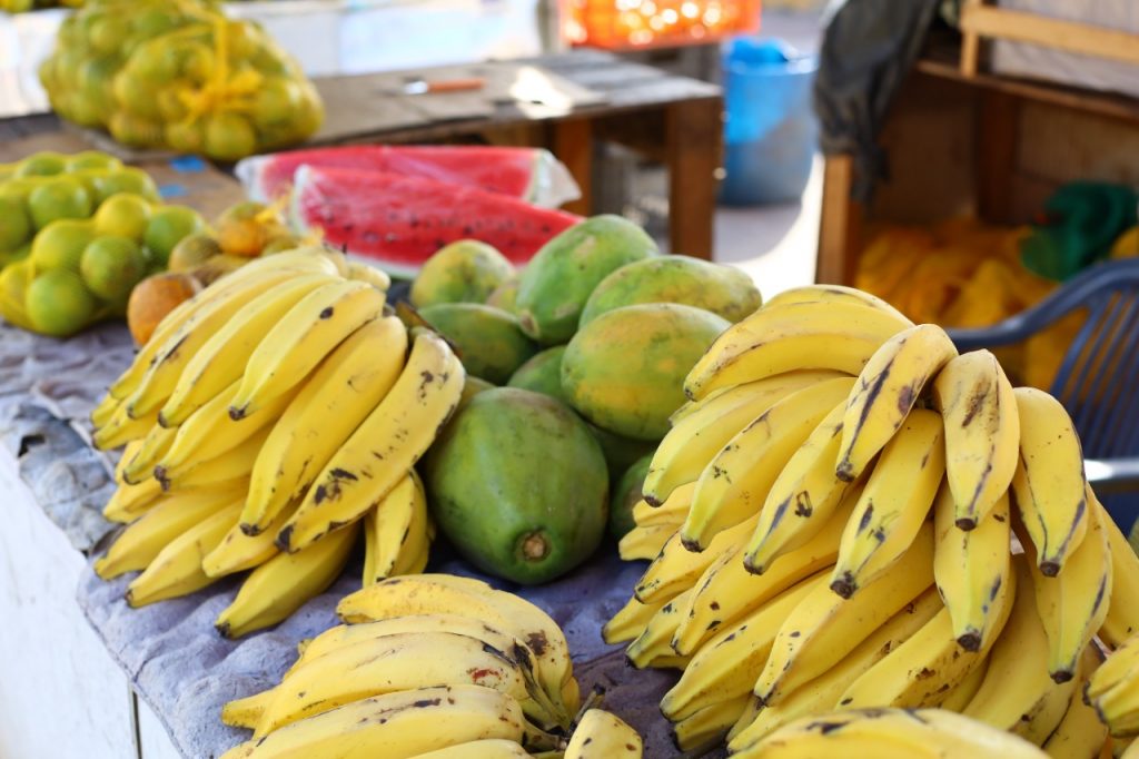 Conselho de Alimentação Escolar promove eleição para mandato 2021/2025
