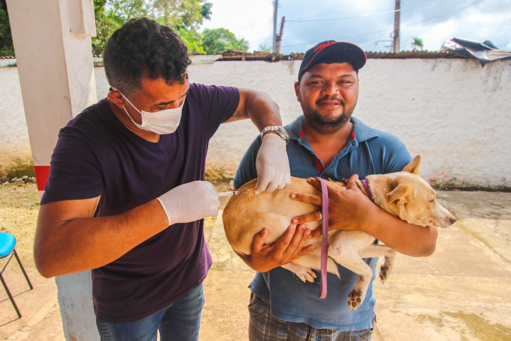 Sesau realiza ‘Dia D’ de vacinação antirrábica em Marituba