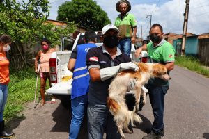 Semma de Marituba resgata animais em situação de maus tratos, na manhã desta segunda-feira (06)