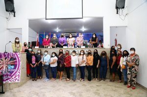 Conselheiras do Conselho Municipal dos Direitos da Mulher tomam posse na Câmara Municipal