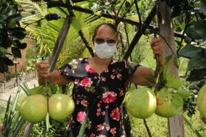 Agricultura familiar de Marituba desperta para a fruticultura no município