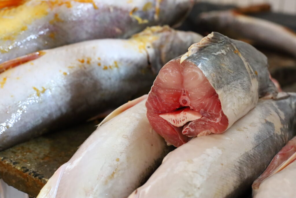 Marituba terá a 4ª Feira do Pescado nesta Quinta-Feira Santa (14)