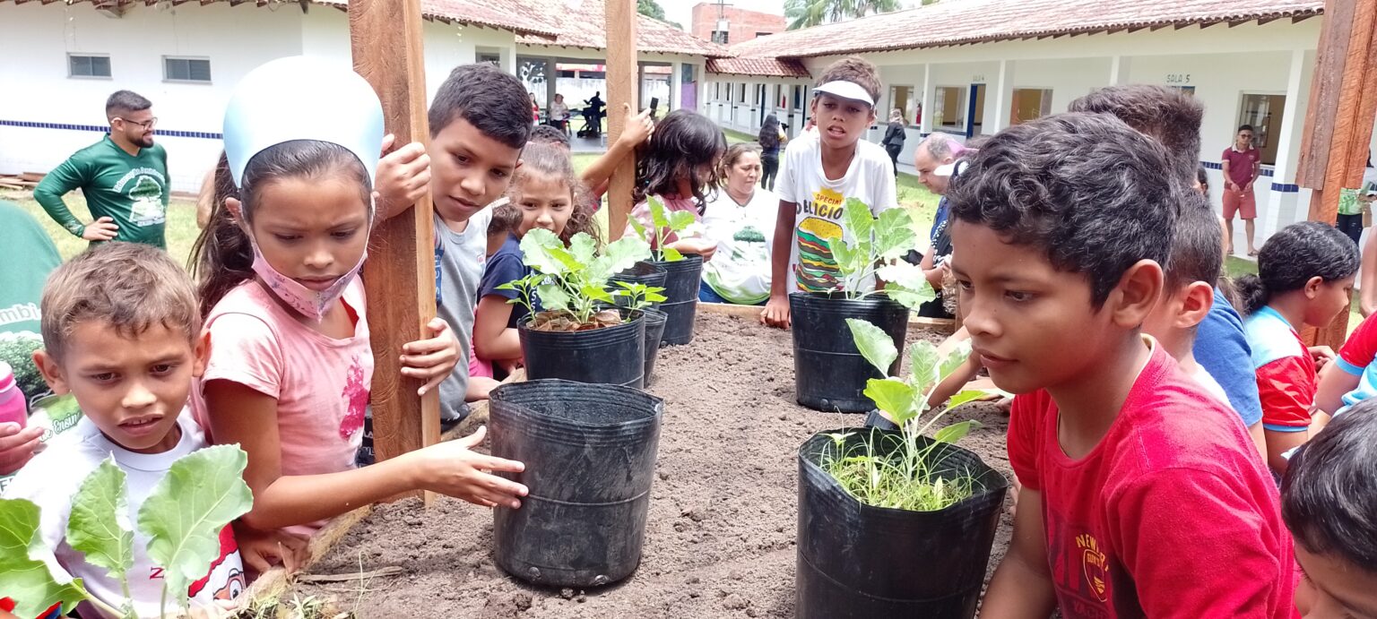 Semed inicia campanha “A horta da minha escola chega à minha casa”