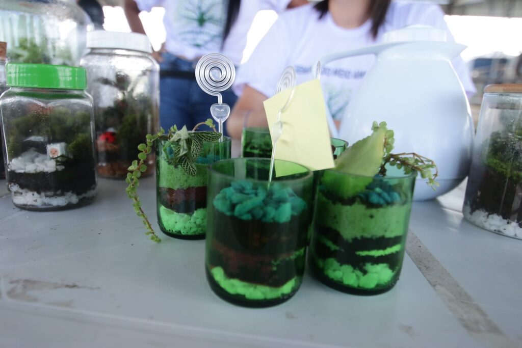Semana do Meio Ambiente promove oficina de “Produção de Terrários” no Viver Melhor Marituba