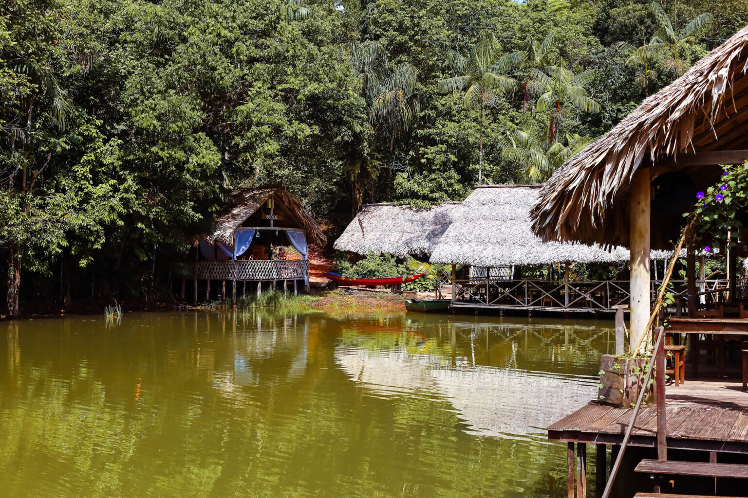 Comida amazônica, natureza e poesia em um só lugar: Restaurante Rural Terra do Meio
