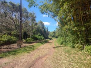 Refúgio de Vida Silvestre: Conheça as belezas naturais de Marituba