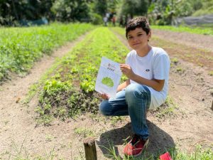 Alunos da rede municipal visitam produção de hortaliças da agricultura familiar