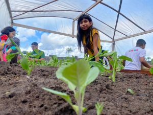Dia Mundial da Educação Ambiental
