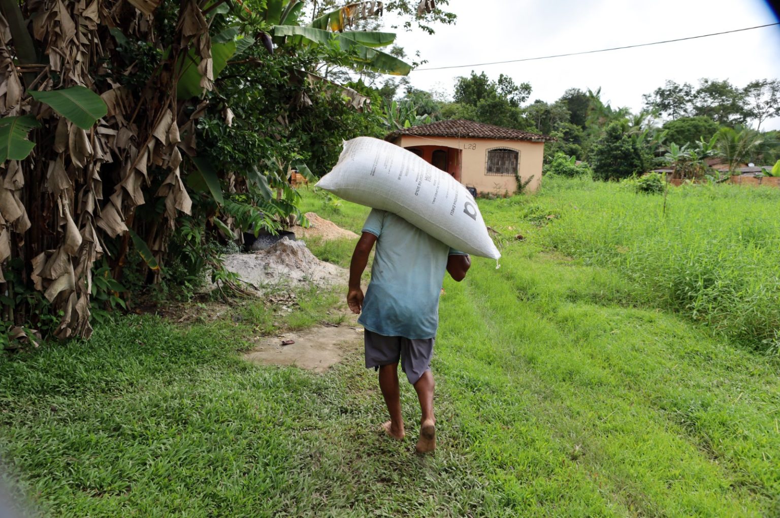 Prefeitura doa insumos para agricultor familiar no município