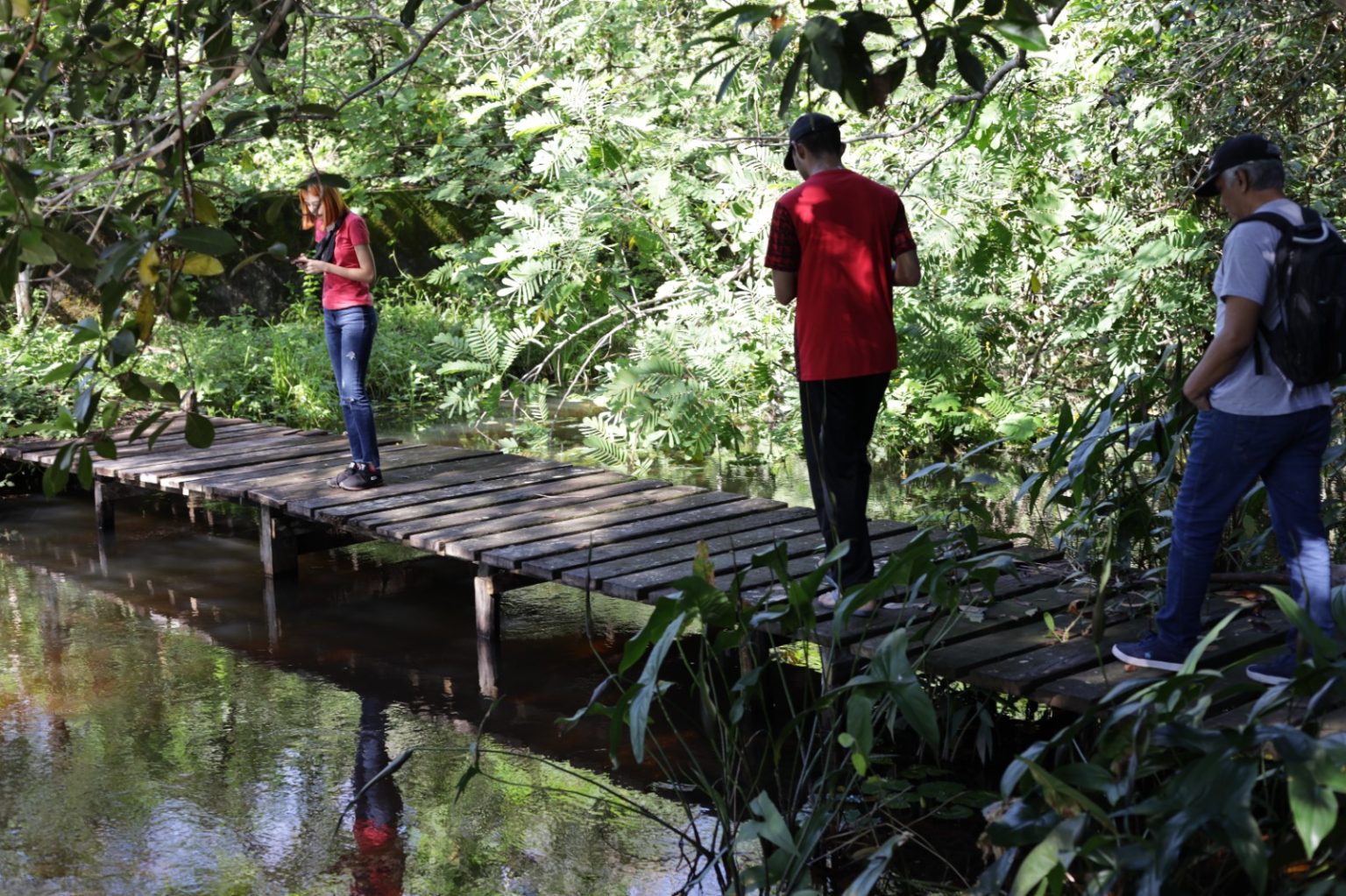 Refúgio de Vida Silvestre Metrópole da Amazônia: uma excelente opção para os amantes do ecoturismo
