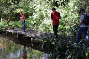 Refúgio de Vida Silvestre Metrópole da Amazônia: uma excelente opção para os amantes do ecoturismo