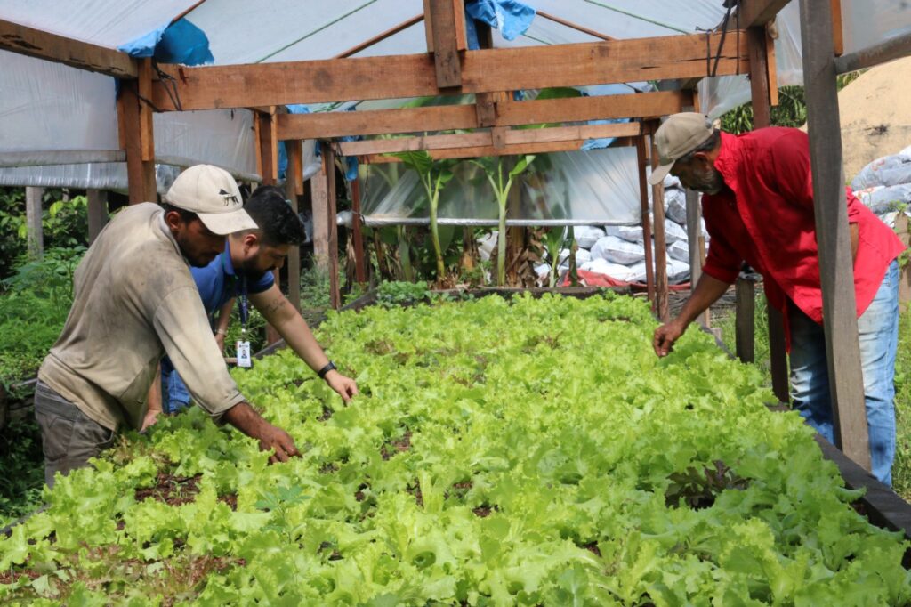 Sedap Impulsiona Desenvolvimento em Marituba em 2023