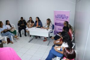 Secretaria Especial das Mulheres realiza reunião para fortalecimento da rede de atendimento