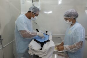 Mutirão de Castração no Mercado de Marituba reforça saúde pública e combate ao abandono