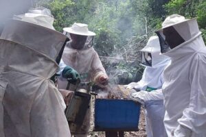 Marituba realiza sua primeira Conferência Municipal de Meliponicultura para fortalecer agricultura familiar