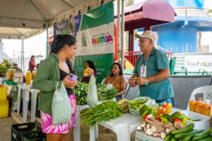 Feira reúne agricultura familiar, artesanato e adoção de animais em dia de integração e sustentabilidade em Marituba