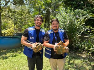 Prefeitura de Marituba entrega oito animais silvestres ao Centro Amazônico de Herpetologia